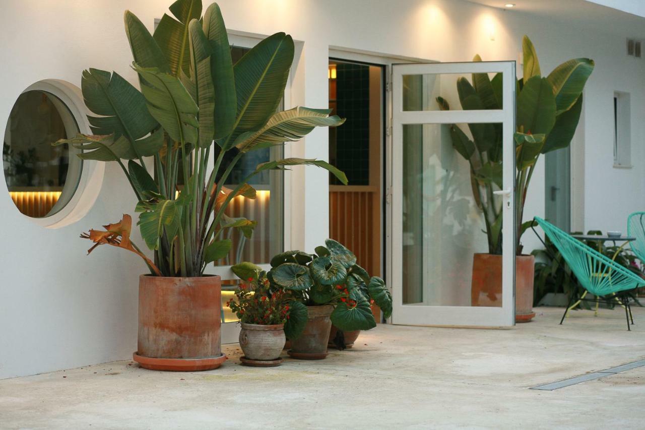 Hostal Las Cumbres 科尼尔-德拉弗龙特拉 外观 照片